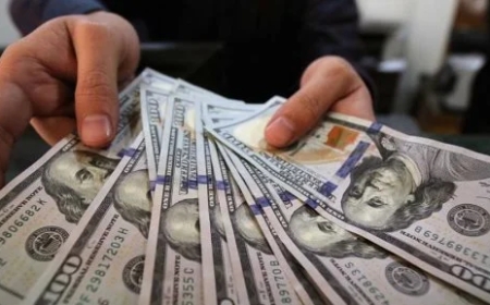 سعر الدولار اليوم الأربعاء 21 أكتوبر 2026 في البنوك المصرية
