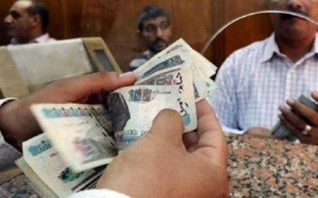 الاستعلام عن مفردات المرتب إلكترونيا.. خطوات استخراج بيان الدخل