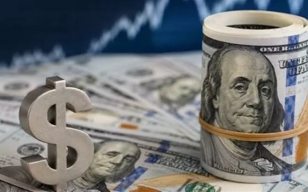 أسعار الدولار اليوم السبت 24 أكتوبر 2026 في البنوك