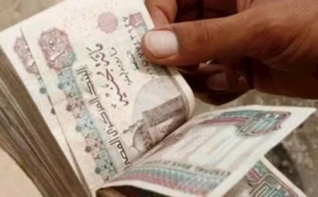 صرف معاشات شهر نوفمبر.. هل توجد زيادة جديدة؟