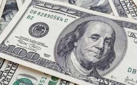 أسعار الدولار اليوم الأحد 25 أكتوبر 2026 في البنوك المصرية