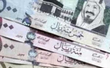 صرف 500 رييال بأمر ملكي.. الفئات المستفيدة وتفاصيل الدعم