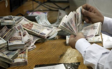 صرف مرتبات نوفمبر وديسمبر 2026.. موعد القبض والمتأخرات