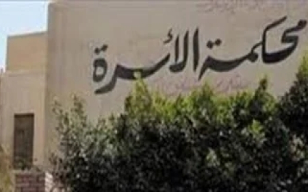 قانون الأسرة الجديد.. شروط حضانة الأطفال وسن انتهائها
