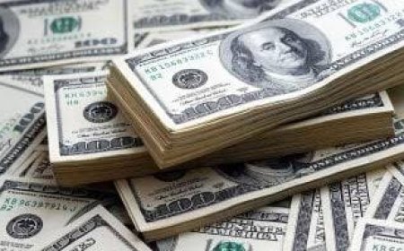 أسعار الدولار اليوم السبت 31 أكتوبر.. فروق محدودة بين البنوك