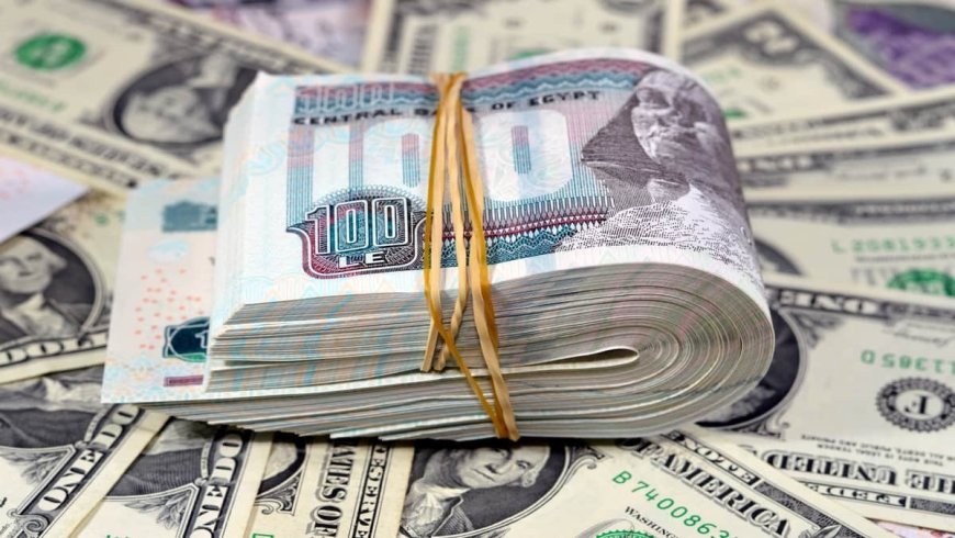 سعر الدولار اليوم 