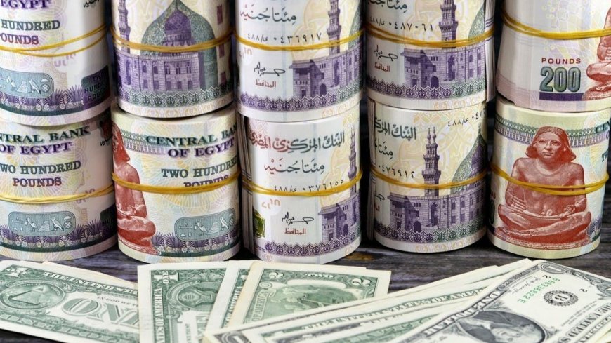 سعر الدولار اليوم 