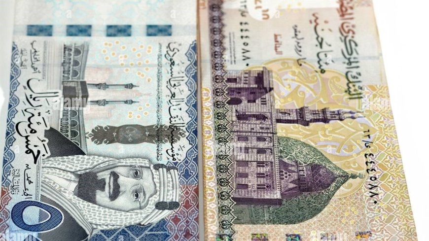 سعر الريال السعودي أمام الجنيه