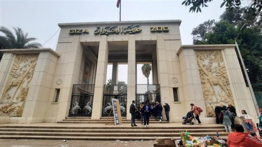 متى تفتح حديقة الحيوان بالجيزة