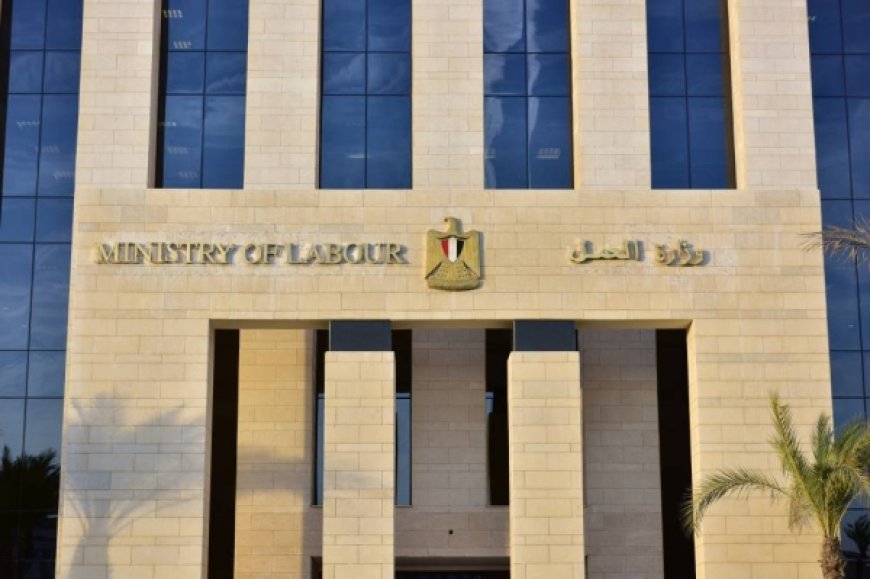 براتب 64 ألف جنيه.. موقع وزارة العمل يتيح 100 وظيفة في إسبانيا