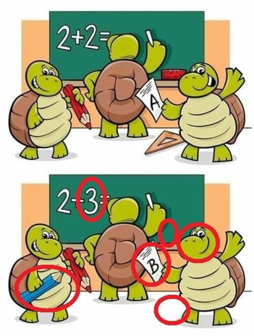 لغز فصل السلاحف