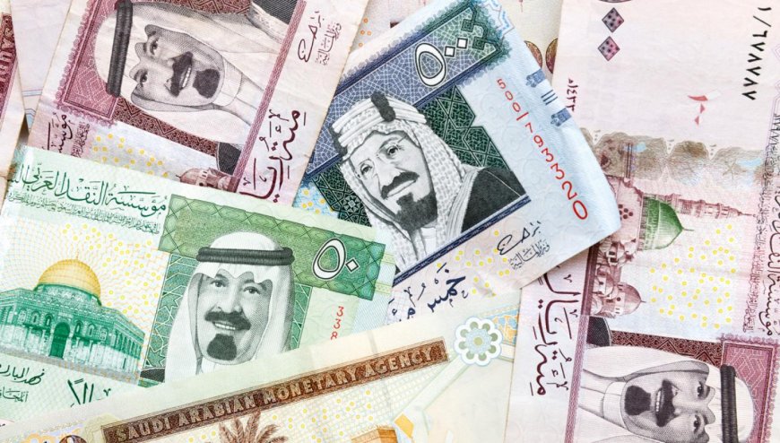 موعد صرف مكافأة المسير الإفرادي