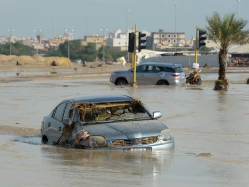 سيول الأردن 